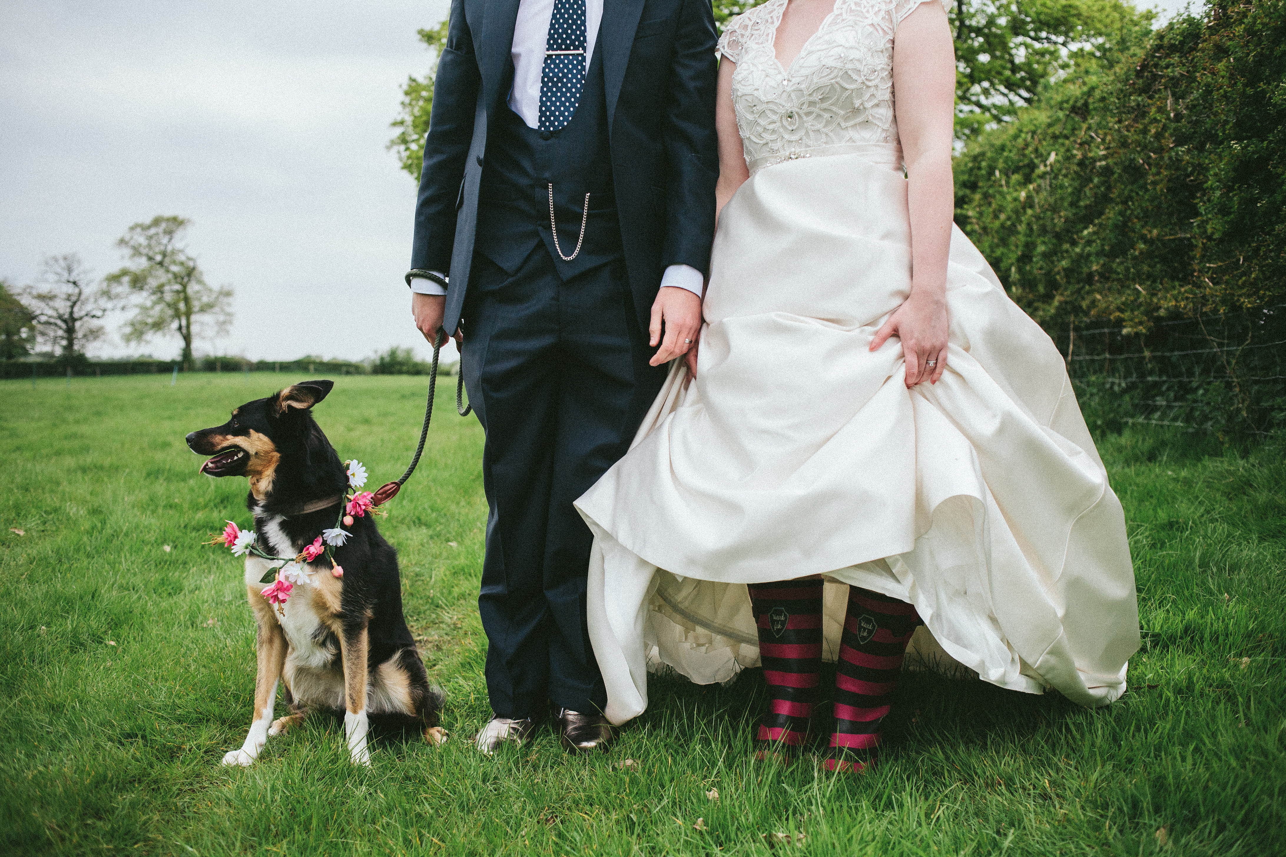 Dog Friendly Wedding Venue